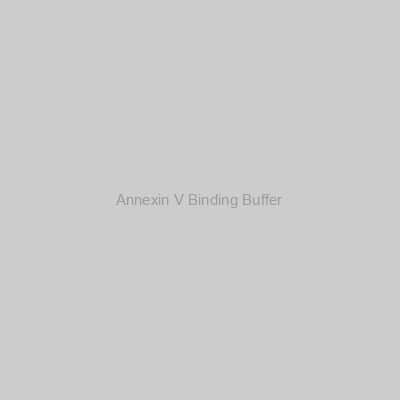 Annexin V Binding Buffer